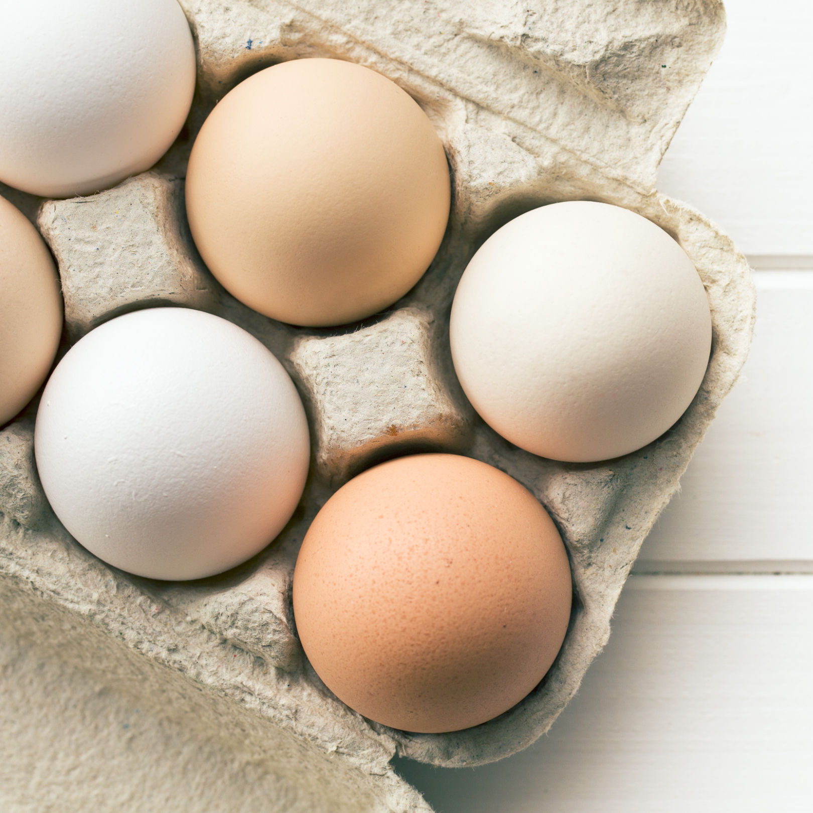 Buy Eggs - Free Range Online NZ